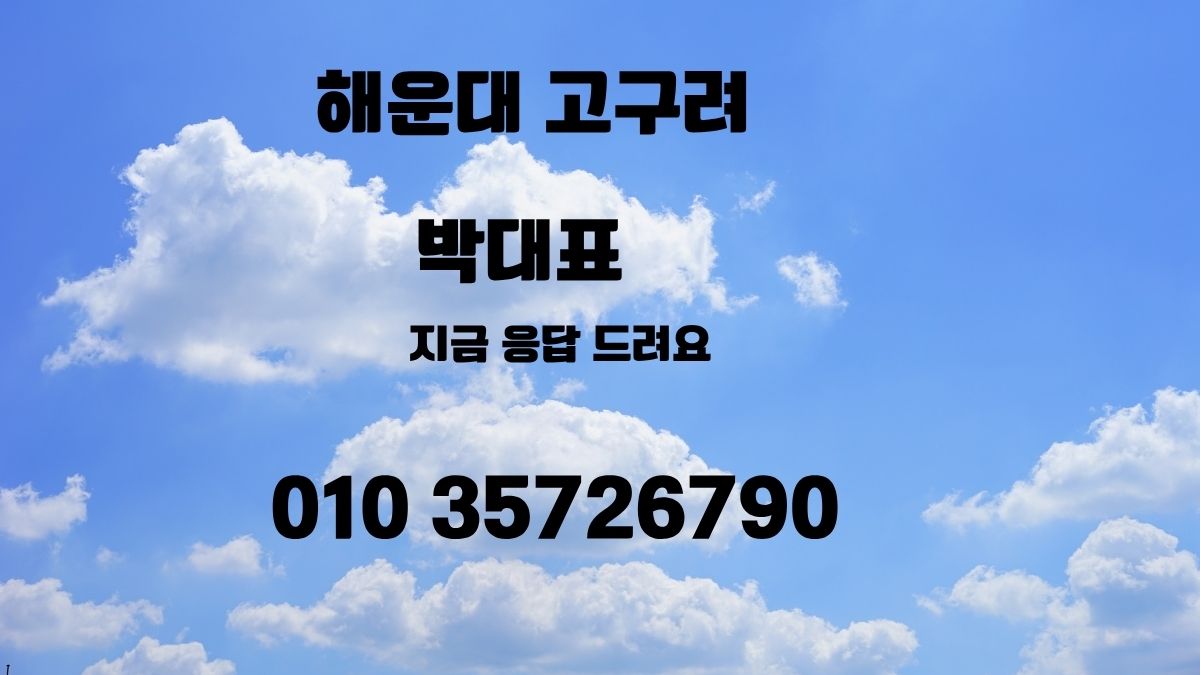 해운대고구려 박대표 010-3572-6790 예약 정찰제 디시 후기 대표 이미지