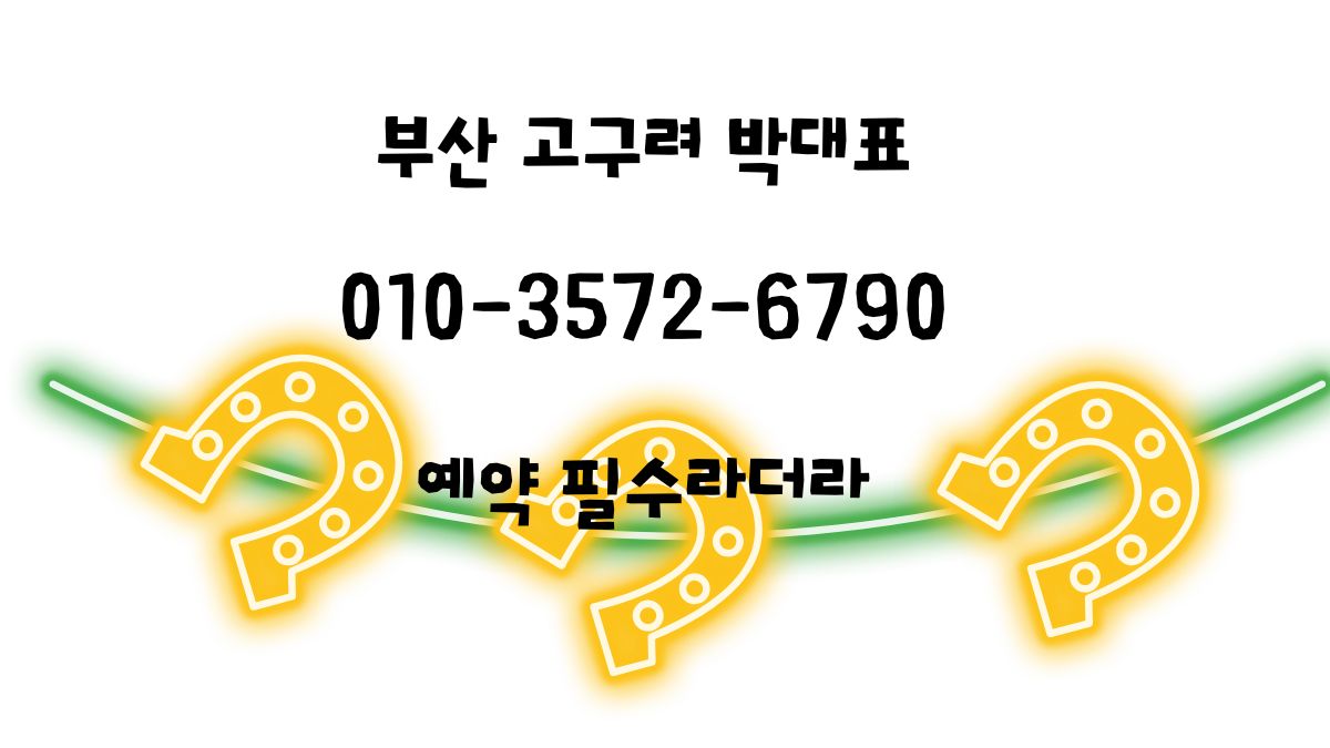 부산 고구려 박대표 010-3572-6790 예약 확정 안내 goguryeoroom.com