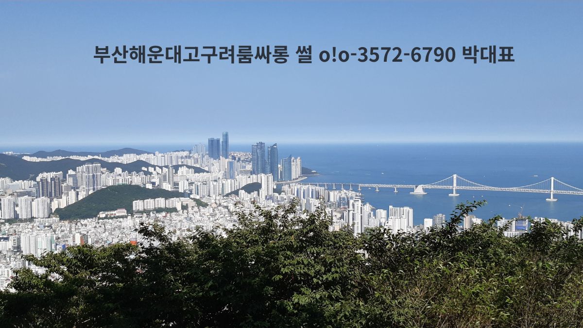 부산 해운대 마린시티와 광안대교가 보이는 도심 전경을 산 정상에서 내려다본 풍경