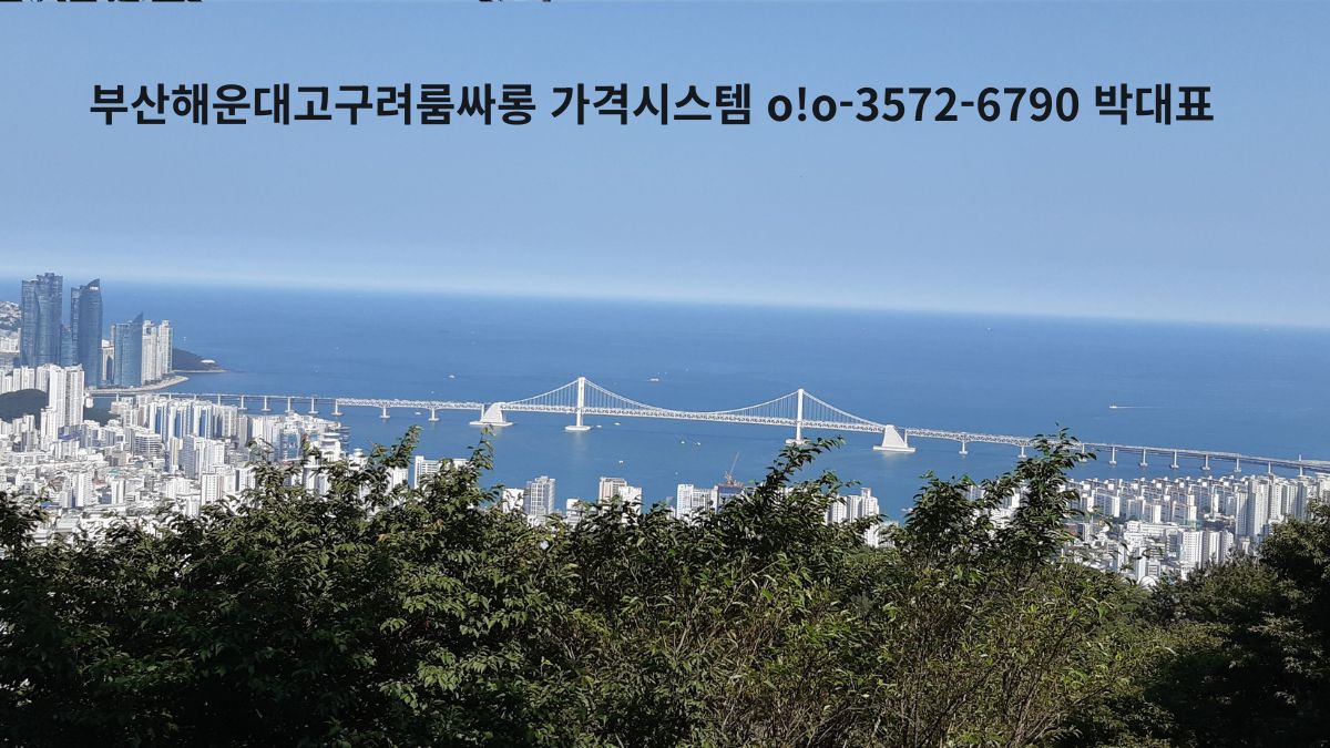 부산 해안과 광안대교가 내려다보이는 파노라마 전경(상단 안내 문구 오버레이 이미지)