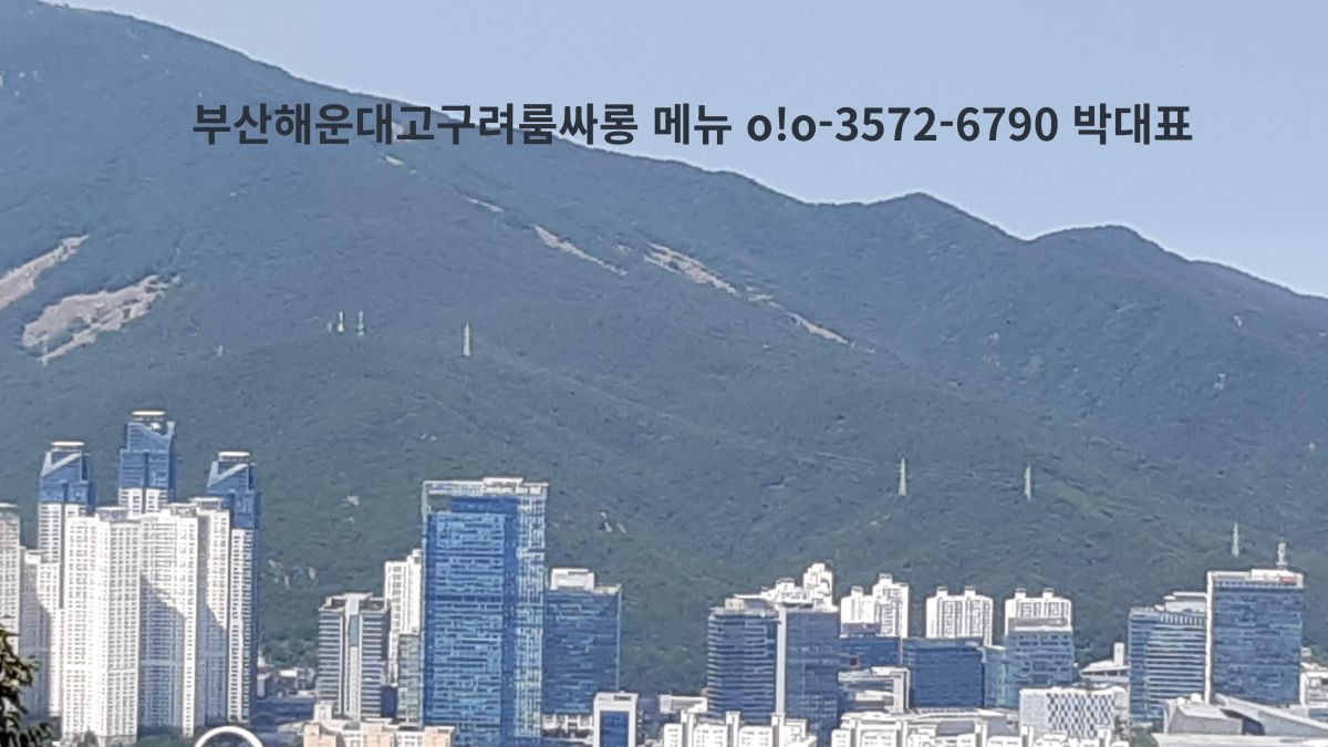 산을 배경으로 한 부산 도심 고층 빌딩 스카이라인 전경